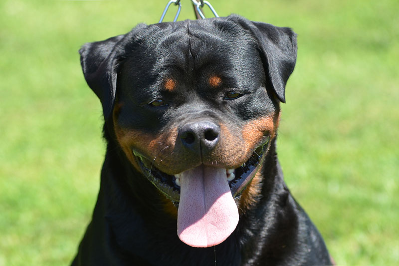Yumbo von der Alten Festung Yumbo von der Alten Festung